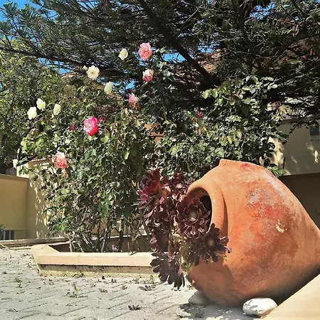 Daire Minas Lassi (Kefalonia)